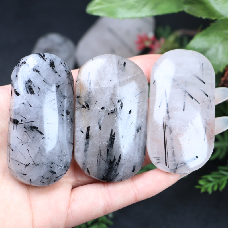 Office Furniture In China - 1pc Natural Decorative Palm Random-Black Rutiled